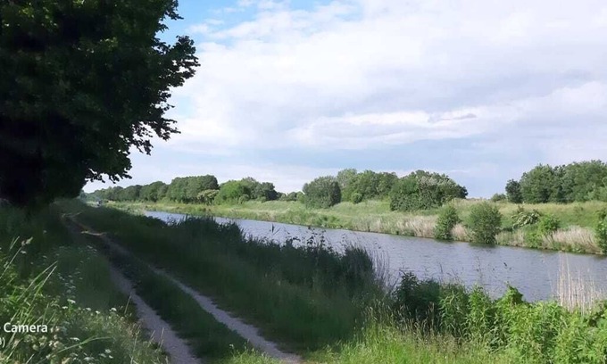 Guster House | Bungalow directly on the Elbe-Lübeck Canal with a large natural plot