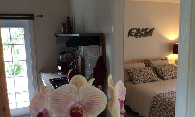 Kapoho House | Bungalow only 2 blocks from the ocean (Cliff) with private patio & OCEAN VIEW