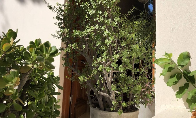Concepcion del Uruguay House | Buon Riposo