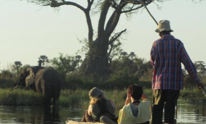 Okavango Delta Other | Bushemen Plains Camp-Wild Map Safaris