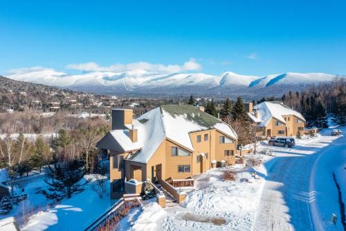 Bretton Woods House | C15 Ski-In Ski-Out Townhouse with Hot Tub & Stunning Mount Washington Views, Pets welcome