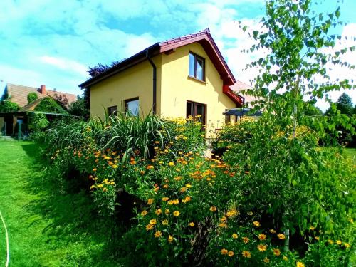 Marcinkowo Gorne House | Całoroczny dom w lesie wśród odgłosów przyrody