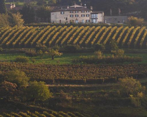 Grezzana Resort | Ca' del Moro Wine Retreat