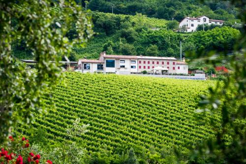 Tarzo House | Ca' Piadera Wine Relais