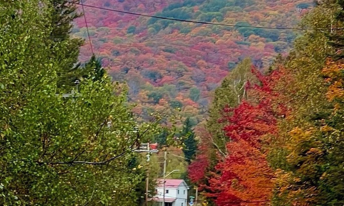 Sainte-Marguerite-du-Lac-Masson Cabin | Chalet au toit vert