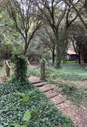 Miengo Apartment | Cabaña de ensueño en el bosque y junto al mar