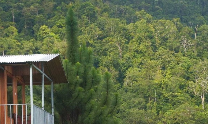 Baru Cottage | Cabaña para dos con una increíble vista al bosque de Platanillo