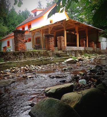 Budureasa Ski Chalet | Cabana de lângă Vale