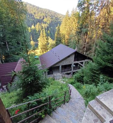 Arefu Cabin | Cabana Zimbru Transfagarasan