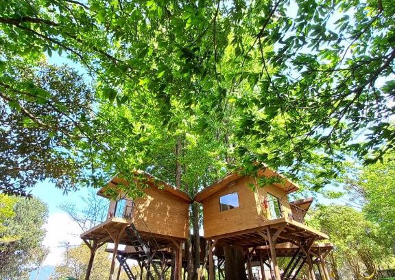 Camanducaia Cabin | Cabanas All Black
