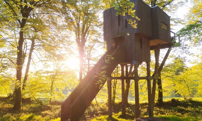 Noues de Sienne Hotel | CABANE DANS LES ARBRES (9M) 4/5 pers - Etape en Foret