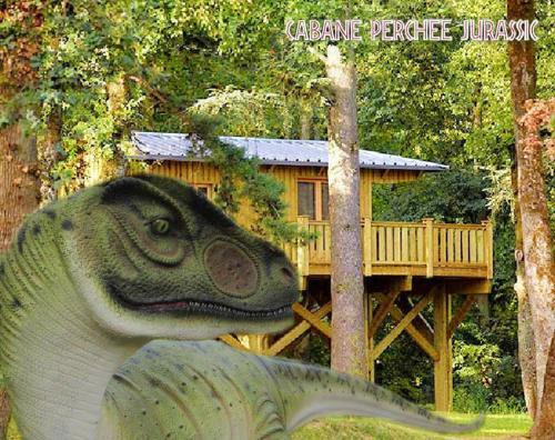 Lavaurette House | Cabane Perchée Jurassic Piscine, Spa et Hammam proche des Gorges de l'Aveyron