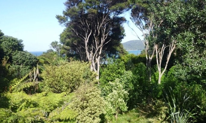 Tryphena House | Cabbage Tree Cottage: Cosy home with bush and beach beyond