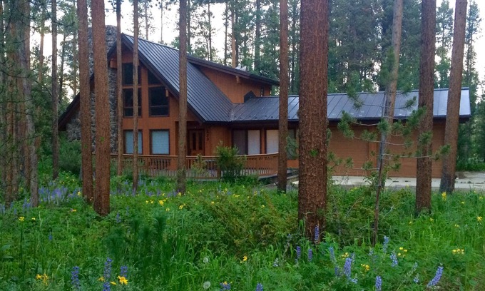 Fraser House | Cabin Nestled in the Woods, close to town!