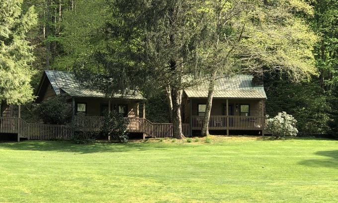 Rabun Gap Cabin | Cabin on a hillside overlooking beautiful Valley Springs Lake pet friendly (dog)