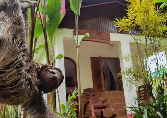 Cahuita Cabin | Cabinas Tito