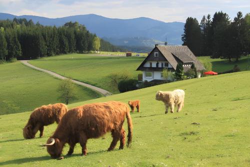 Muehlenbach House | Café Pension Pfaus Heidburg