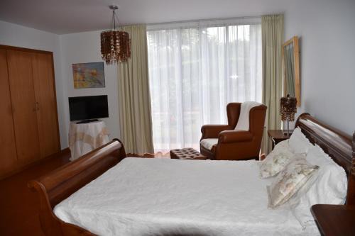 Caloura House | Caloura Camellia House