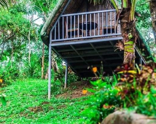 Tanay Other | Camp Mayagay Tanay Rizal