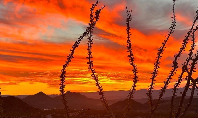 Terlingua RV Rental | Camp on a volcanic hill, 10 mins to Big Bend and 15 mins to Terlingua Ghost Town