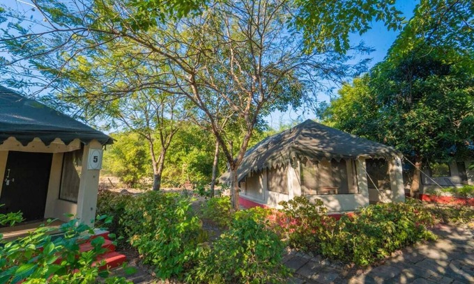 Moharli Hotel | Camp Serai Tiger Tadoba