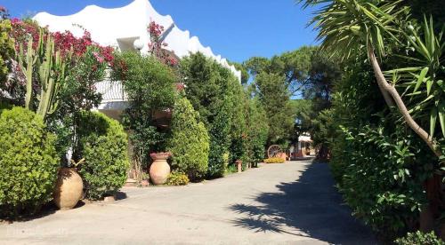 Borgia Other | Camping Calabrisella