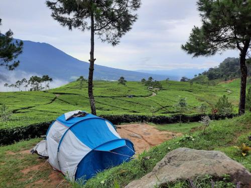 Cibodas Other | Camping Ground Mount Luhur
