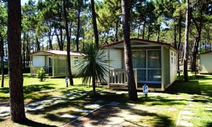 Tavarede House | Camping - Piscine - eeec0c