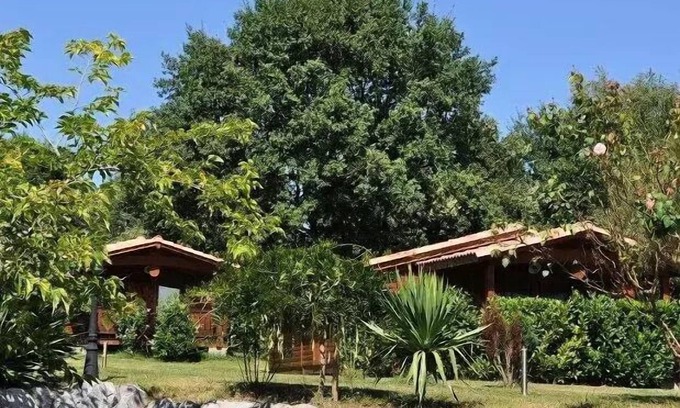 Montrejeau Ski Chalet | Campsite Midi Pyrenees * - Chalet 1 bedroom 2 people