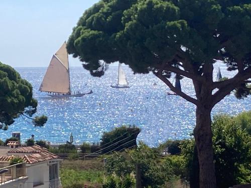 Cannes La Bocca House | Cannes Beach Access, Private Room in Shared 3-Bedroom Apartment, Private Bathroom, Living Room with Sea View Suite Parentale salle de bain privée accès plages & vue mer du salon dans appartement partagé chez l'habitant