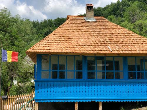 Baile Olanesti Cabin | Casa Albastră