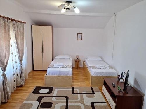 Leu House | Casa Auraș