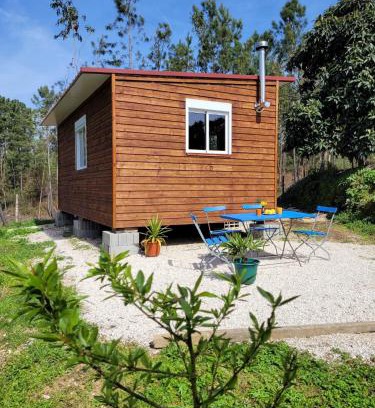 Serta House | Casa Carini