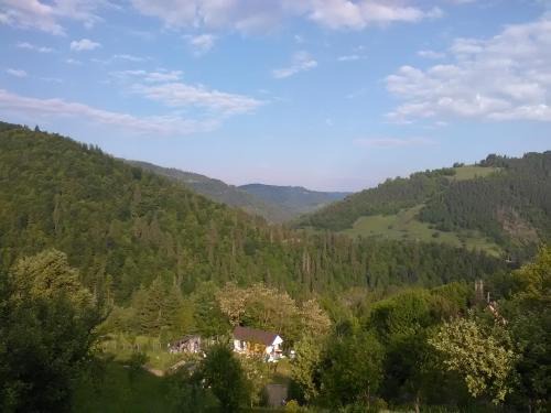 Vidra House | Casa cu Muscate