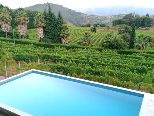 Baiao Apartment | Casa das Feitorias Douro Valley