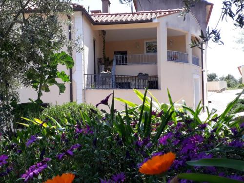 Ansiao House | Casa de Amigos