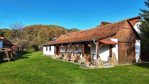 Pesteana House | Casa de Peste Apă