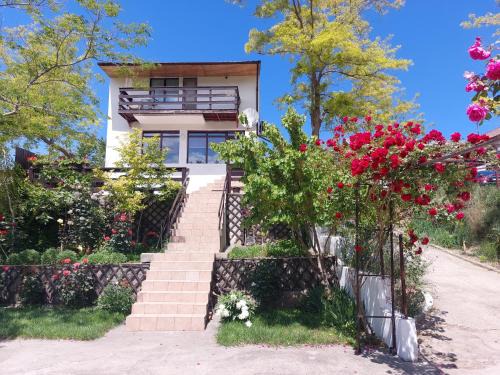 Dunavatu de Jos House | Casa de Vacanta Simfonia Apelor