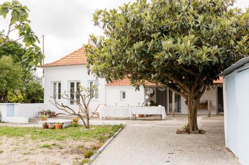 Estarreja House | Casa do Camondo
