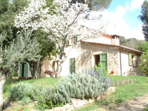 Monteverdi Marittimo House | Casa Jacaranda