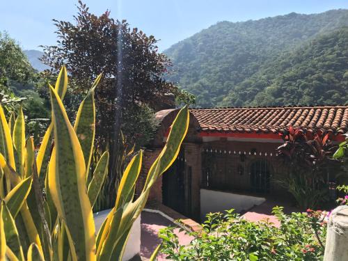 Boca de Tomatlan House | Casa Margarita- escapa a la naturaleza