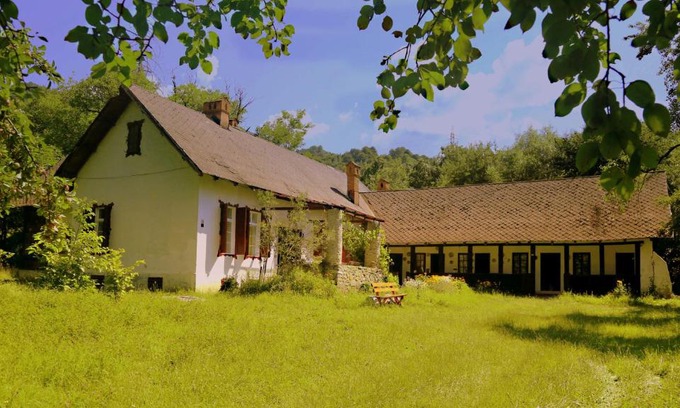 Capatineni-Ungureni House | Casa Memoriala George Stephanescu