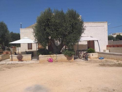 Montalbano House | casa nonno luigi