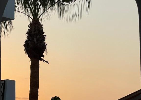 Palomares Apartment | Casa Palmera