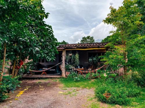 Merida House | Casa Papaki