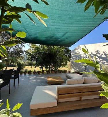 Morillo de Monclus House | Casa Petra