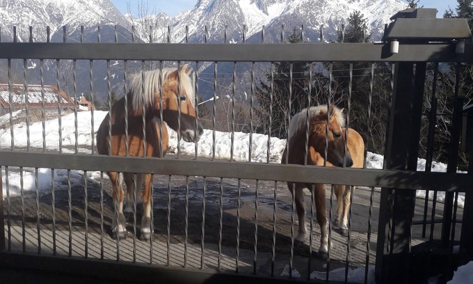 Malonno House | Casa pineta valcamonica