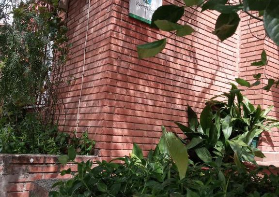 Siles House | Casa Pinos