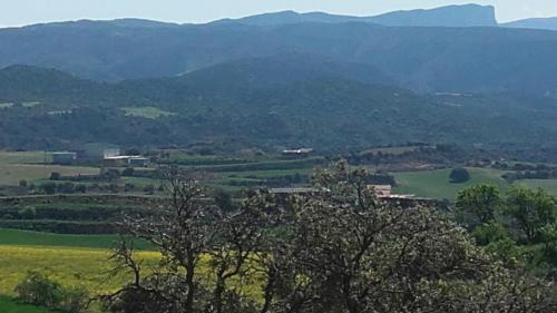 Castillonroy House | Casa Rosalia