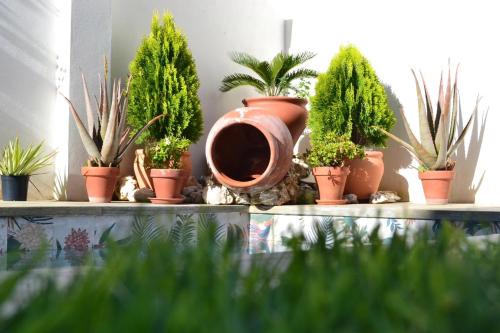 Fuenlabrada de los Montes House | Casa Rural La Madroña